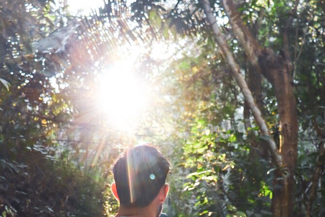 Private 4 Hour Hiking Adventure + Breakfast in Nogalito Ecopark - Key Points