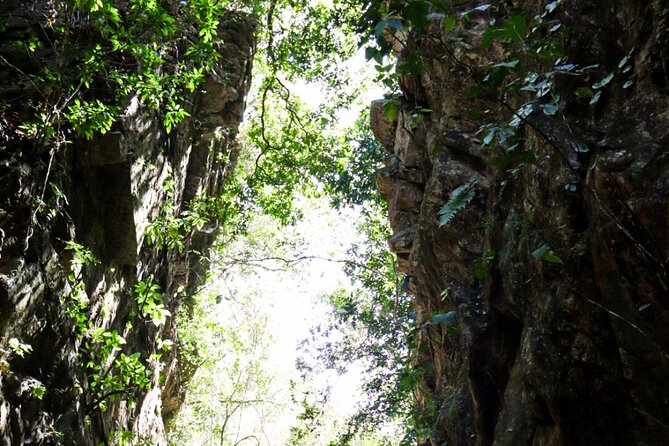 Private 4 Hour Hiking Adventure + Breakfast in Nogalito Ecopark - Frequently Asked Questions