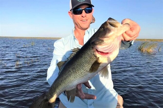 Private 4-Hour Lake Istokpoga Bass Fishing Charter in Florida - Key Points