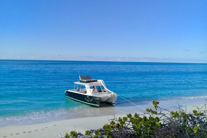Private 4 Hour Power Catamaran Excursion in Grace Bay - Explore Neighboring Islands