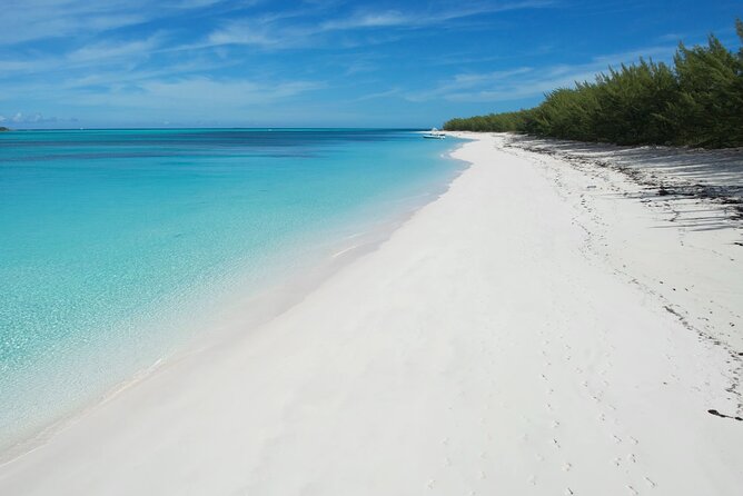 Private 4 Hour Rose Island Charter Snorkeling Turtles & Beaching - Enjoying the Charter