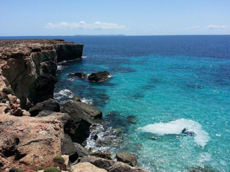 Private 4-Hour Tour of Palma De Mallorca (Hotel/Port Pickup) - Palmas Attractions
