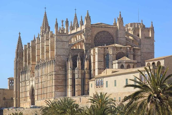 Private 4-Hour Tour of Palma De Mallorca W/ Driver & Guide (Hotel/Port Pick Up) - Reviews