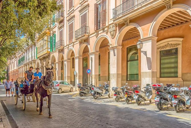Private 4-Hour Tour of Palma De Mallorca W/ Driver & Guide (Hotel/Port Pick Up) - Tour Highlights