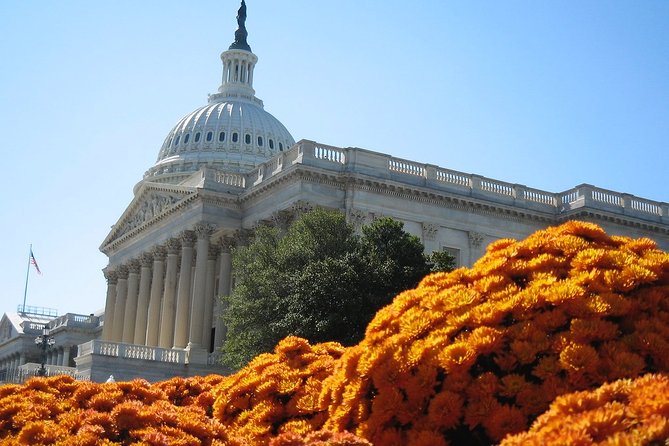 Private 4-Hour Walking Tour in Washington With Official Tour Guide - Booking and Reservation Information