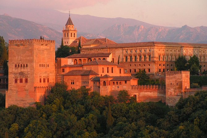 Private 4 Hour Walking Tour of Granada (Tickets to Cathedral and Royal Chapel) - Assistance and Support