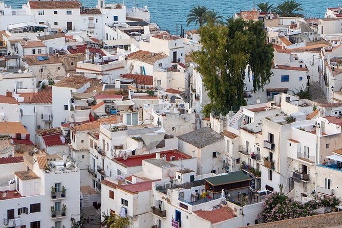 Private 4-Hour Walking Tour of Ibiza With Official Tour Guide - Meeting and Pickup