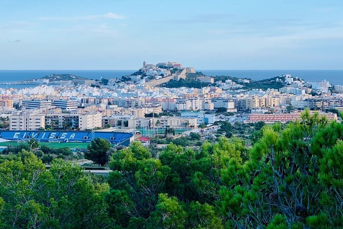 Private 4-Hour Walking Tour of Ibiza With Official Tour Guide - Highlights of the Tour