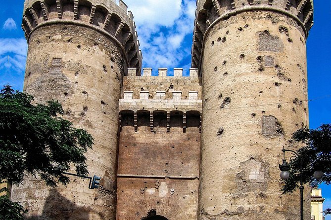 Private 4-Hour Walking Tour of Valencia With Official Tour Guide - Booking Requirements