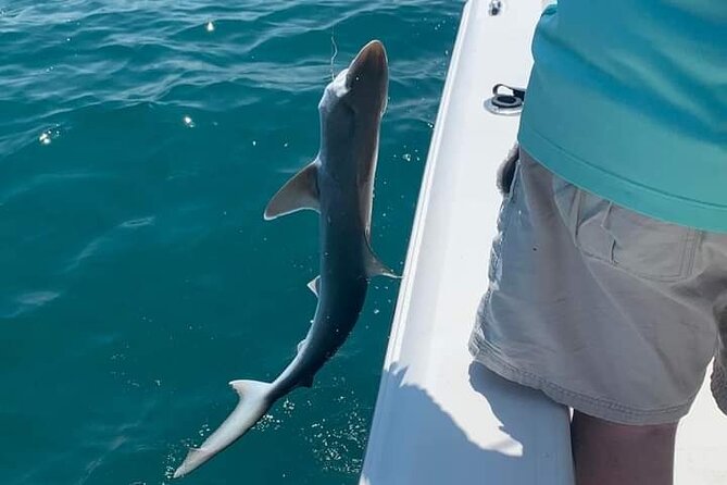 Private 4 Hr Fishing Tour With Master Captain Bill Phillips - Inclusions