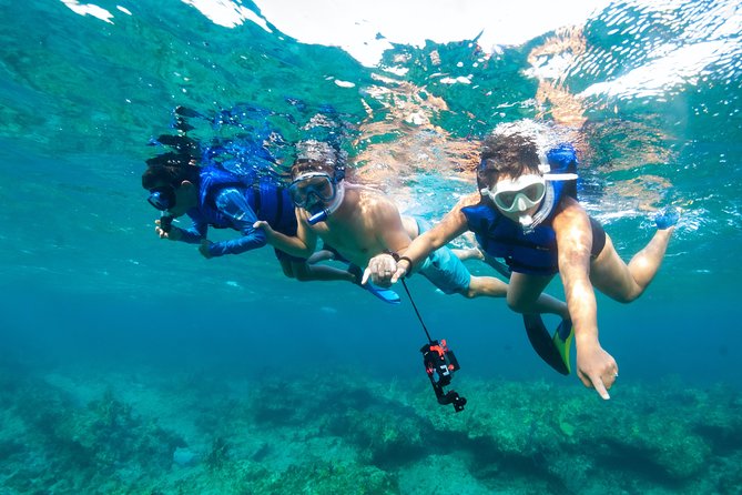 Private 4-Hr Island Escape Tour in Turks and Caicos - Guest Experiences