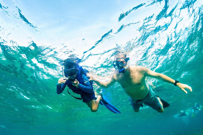 Private 4-Hr Island Escape Tour in Turks and Caicos - Booking and Confirmation