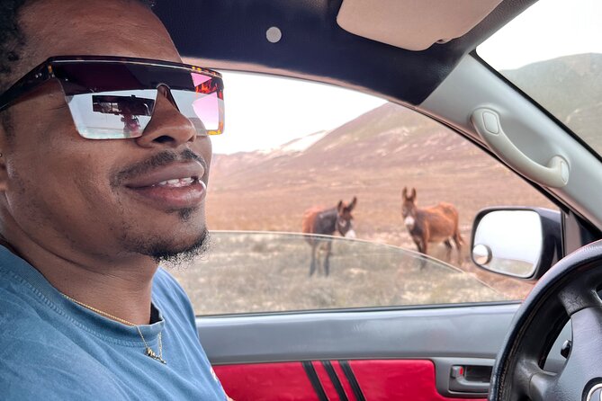 Private 4WD Boa Vista Day Tour South and North With Sandboarding - Booking Information