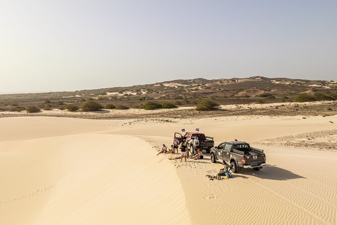 Private 4WD Boa Vista Day Tour South and North With Sandboarding - Customer Reviews