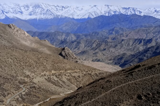 Private 4x4 Adventure Day Tour Through the Mendocina Precordillera - Exploring the Precordillera Landscape