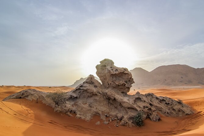 Private 4x4 Desert Drive, Wadi Shawaka Pool Visit With Lunch Box - Pricing and Booking