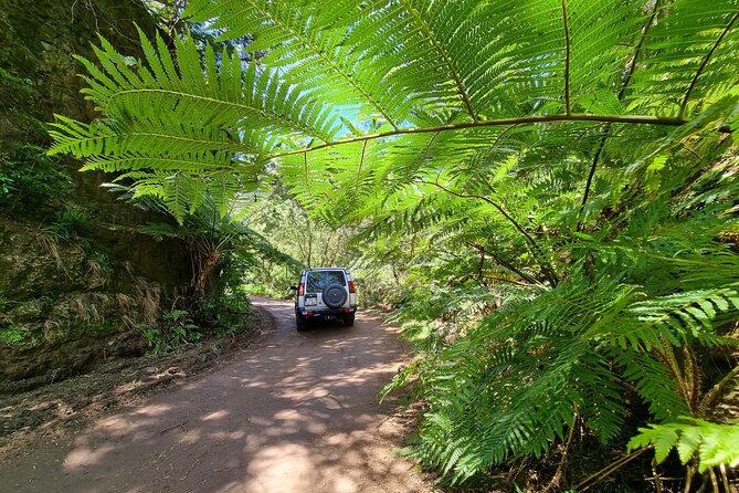 Private 4x4 Jeep Full Day Porto Moniz or Santana - Santanas Picturesque Landscape