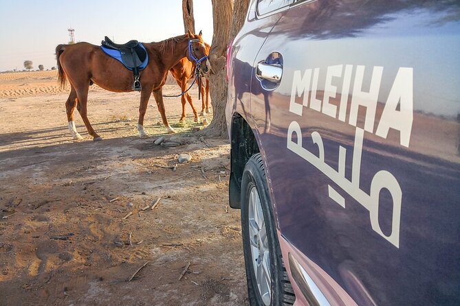 Private 4x4 Mleiha Desert Safari Horse Riding With Museum Visit - Inclusions