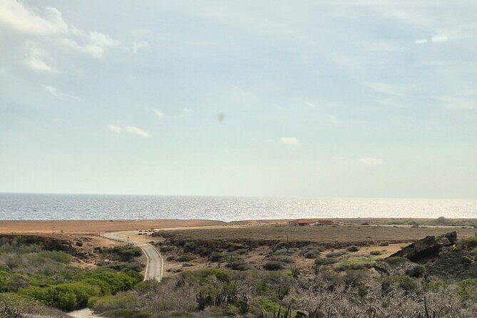 Private 4x4 Natural Pool, Caves & Baby Beach by Cross Aruba Tours - FAQ
