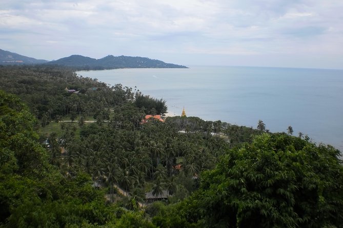 Private 4x4 Off-Road Island Safari + Rum Distillery Visit & Tasting - Health and Safety Guidelines