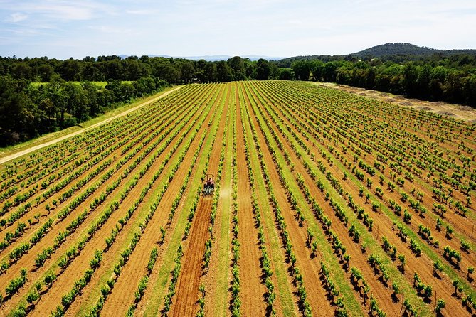 Private 4x4 Ride in a Wine Estate Followed by a Tasting - Positive Reviews and Highlights