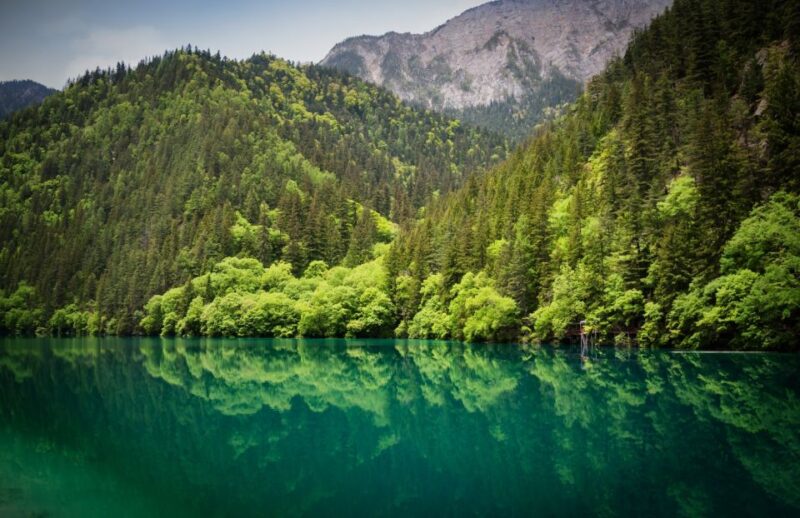 Private 5-Day Amazing Trip: Chengdu and Jiuzhaigou - Key Points