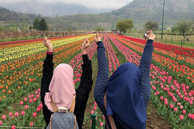 Private 5-Day Kashmir Tour Package From Srinagar - Inclusions and Exclusions