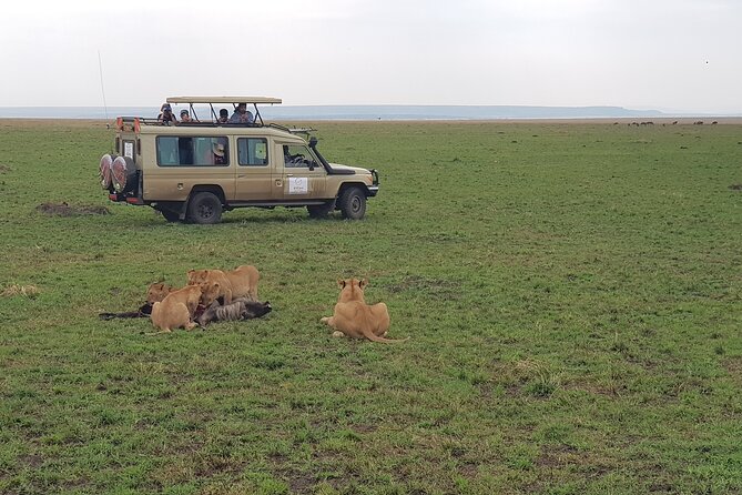 Private 5 Day Maasai Mara With Lake Nakuru and Lake Naivasha Tour - Packing and Preparation