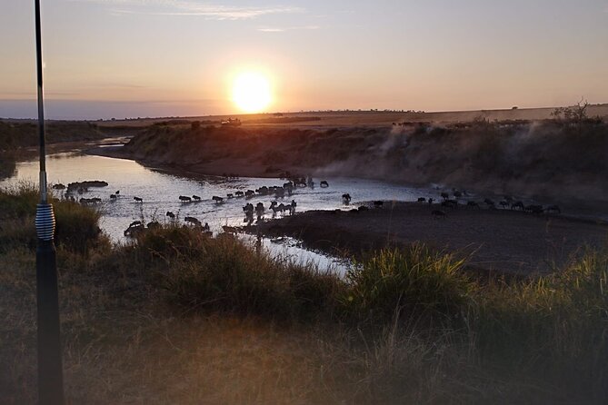 Private 5 Day Maasai Mara With Lake Nakuru and Lake Naivasha Tour - Booking and Pricing