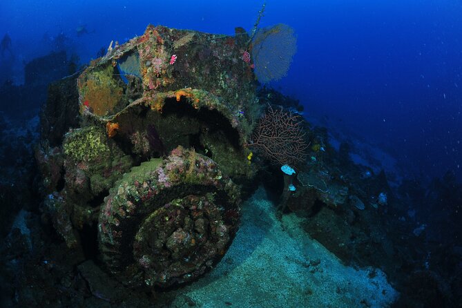 Private 5 Day Morotai Scuba Diving Trip - Diving Destinations