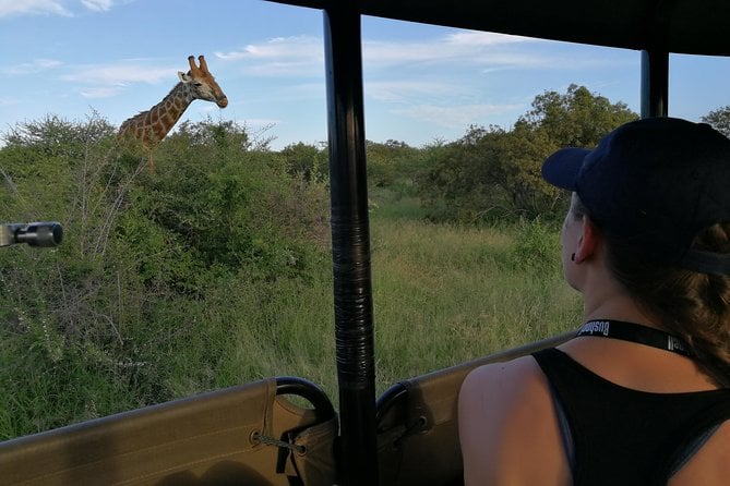 Private 5-Day Overnight Safari in Kruger Park From Skukuza Airport - Positive Reviews and Testimonials