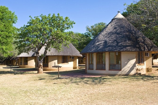 Private 5-Day Overnight Safari in Kruger Park From Skukuza Airport - Safari Activities and Opportunities