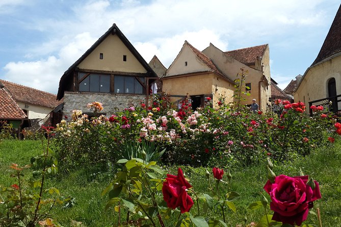 Private 5-Day Tour in Transylvania From Bucharest Hotel Pick-Up and Drop off - Day 3: Sighisoara to Sibiel