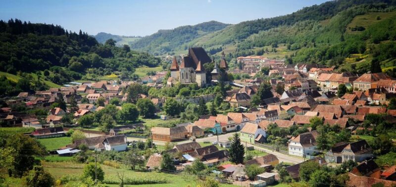Private 5-Day Tour in Transylvania From Bucharest - Sanctuary of Brown Bears