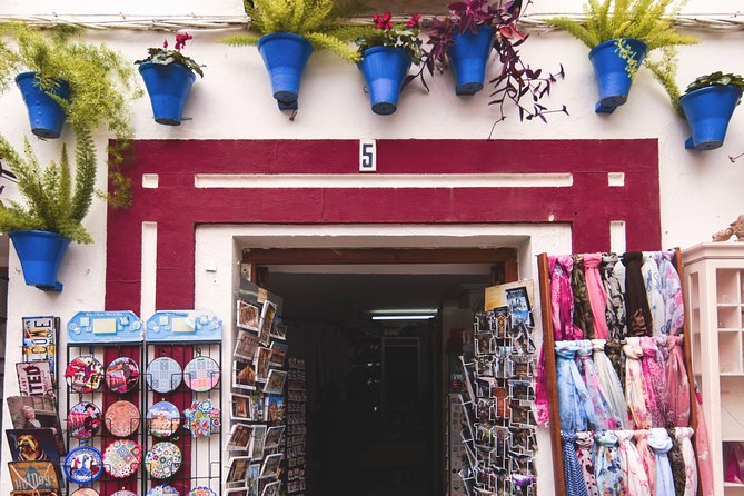 Private 5 Days in Malaga - Private Tours and Arrival and Departure Transfer - Accessibility Information