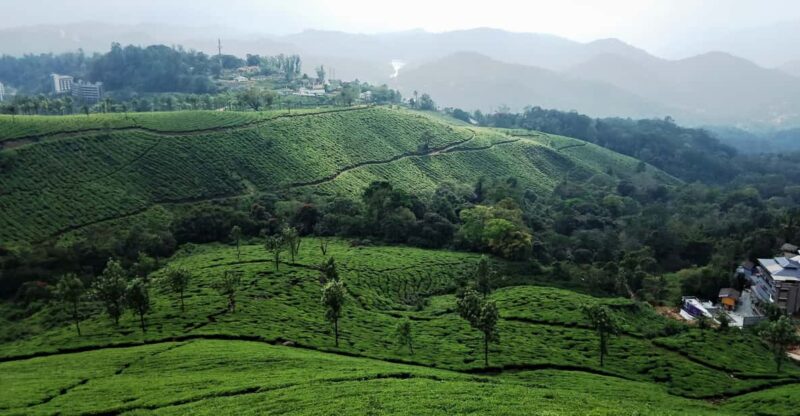 Private 5-Days Kerala Tour With Sightseeing Tickets - Itinerary Highlights