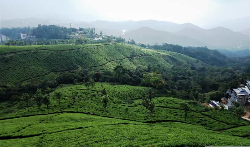 Private 5-Days Kerala Tour With Sightseeing Tickets - Day 1: Kochi Arrival