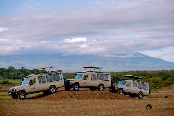 Private 5-Days Serengeti Trails With Kojuu Safaris - Meeting and Pickup Details