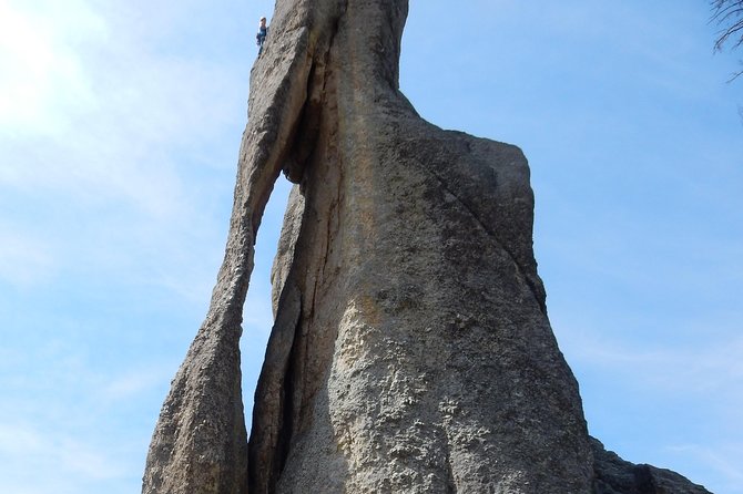 Private 5 Hour Black Hills Tour With Local Experts - Customer Reviews and Feedback