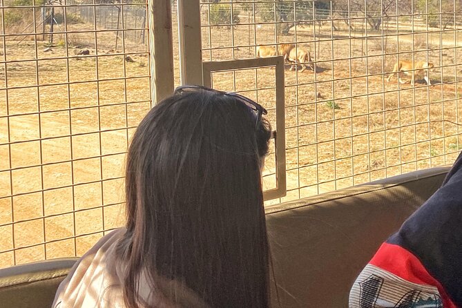 Private 5-Hour Lion Park Tour From Johannesburg or Pretoria - Participant Guidelines