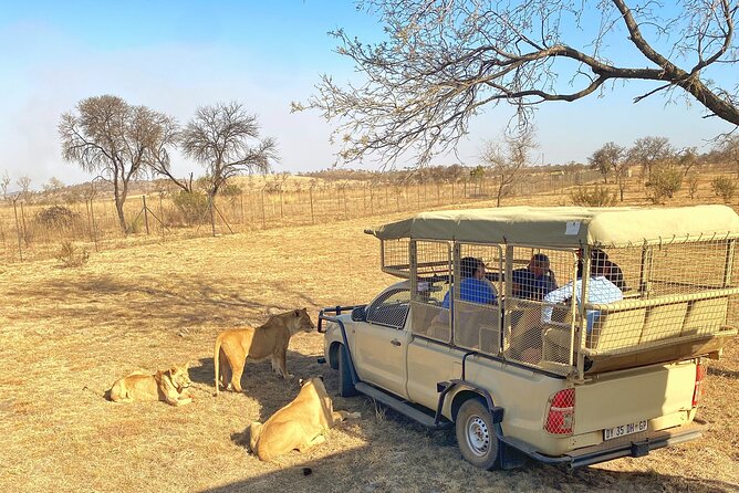 Private 5-Hour Lion Park Tour From Johannesburg or Pretoria - Review Highlights