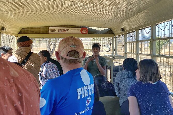 Private 5-Hour Lion Park Tour From Johannesburg or Pretoria - Tour Experience