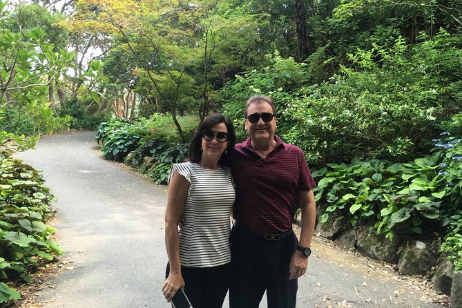 Private 5 Hour Wellington City Heights Tour - Inclusions and Transportation