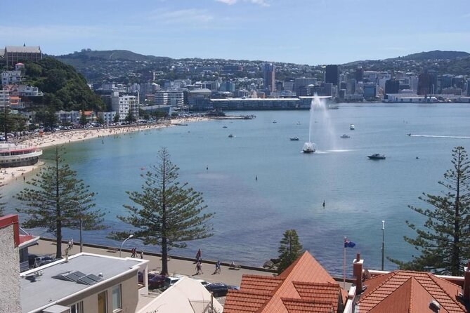 Private 5 Hour Wellington City Heights Tour - Accessibility and Participation