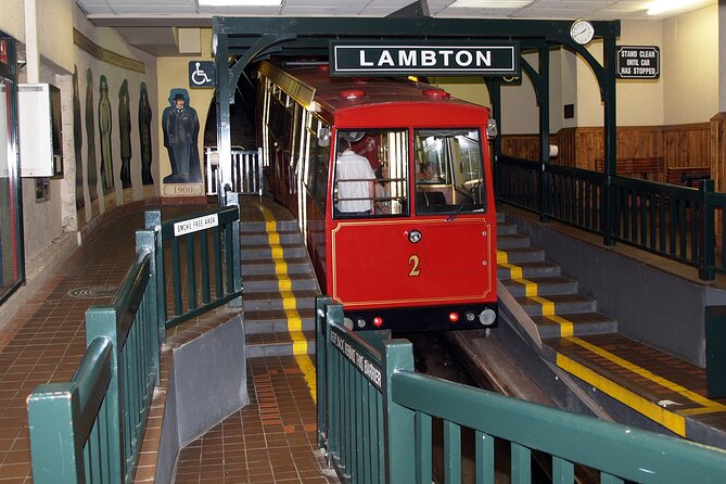Private 5 Hour Wellington City Heights Tour - Vantage Points and Experiences