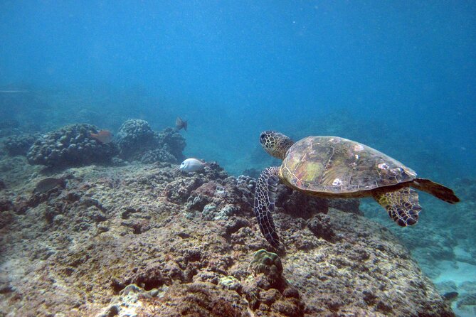 Private 5HRS Island Tour With 2HRS Sail and Snorkel With Turtles - Pickup Information
