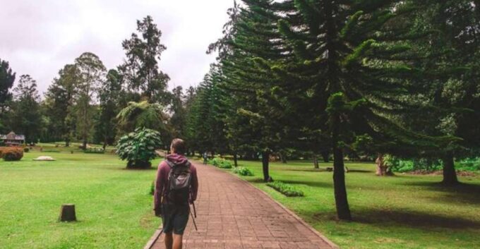 Private 6-Day Heritage Tour of Sri Lanka - Day 5: Nuwara Eliya and Colombo