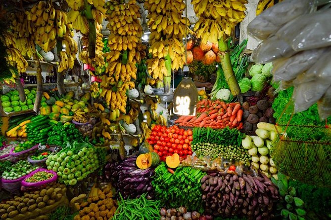 Private 6-Day Sightseeing Tour Around Sri Lanka - Meeting and Pickup