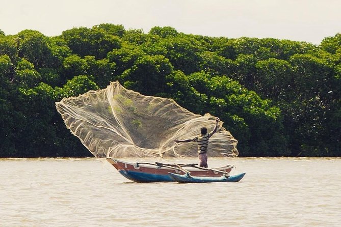 Private 6-Day Sightseeing Tour Around Sri Lanka - Transportation