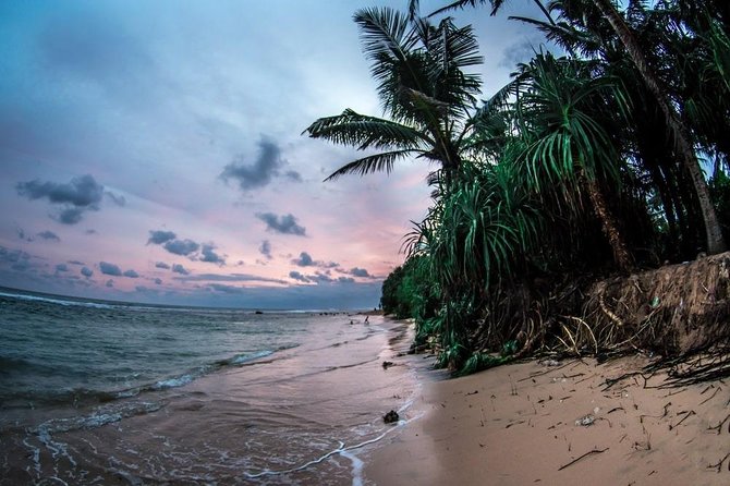 Private 6-Day Sightseeing Tour Around Sri Lanka - Customer Feedback